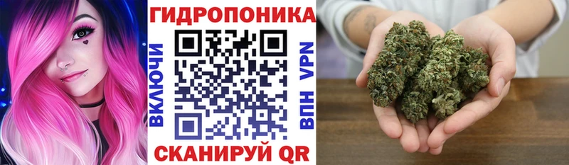 Хочу наркоту Мещовск Псилоцибиновые грибы  Канабис  Меф мяу мяу  KRAKEN   ГАШИШ 