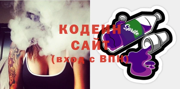 шишки Абаза