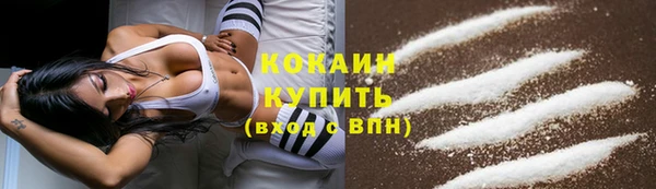 шишки Абаза
