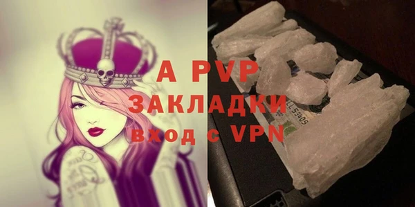 шишки Абаза