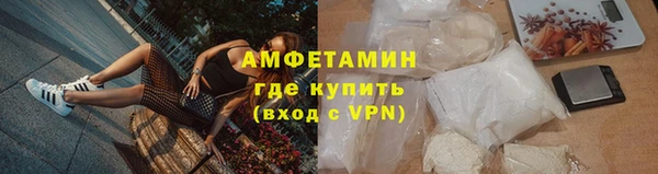 шишки Абаза