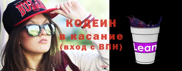 шишки Абаза