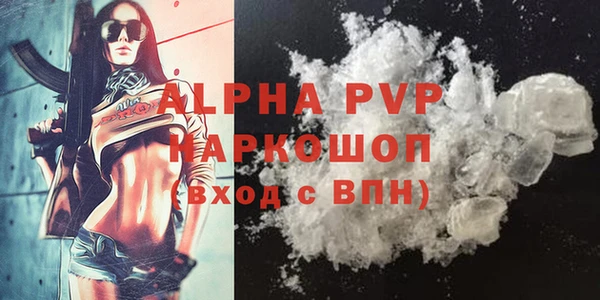 шишки Абаза