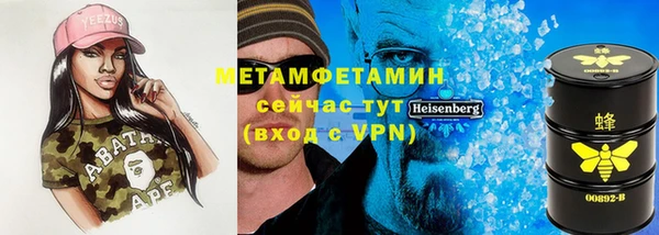 шишки Абаза