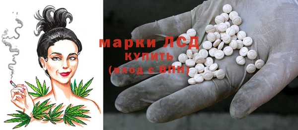 шишки Абаза