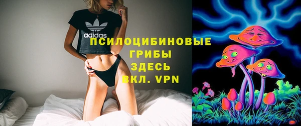 шишки Абаза