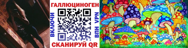 Псилоцибиновые грибы мицелий  купить закладку  Мещовск 